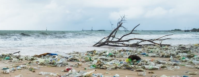 Marine Debris in Indonesia